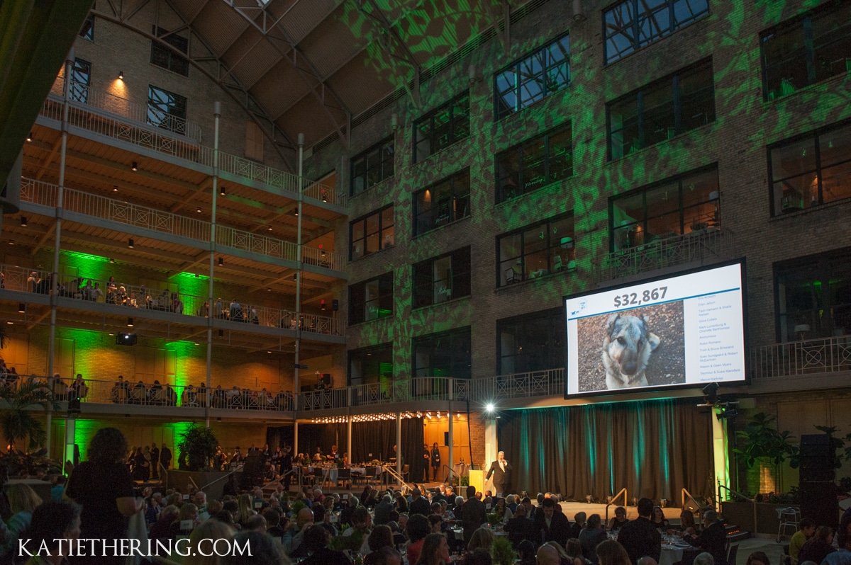 Home for Life Spring Gala featuring Jane Goodall