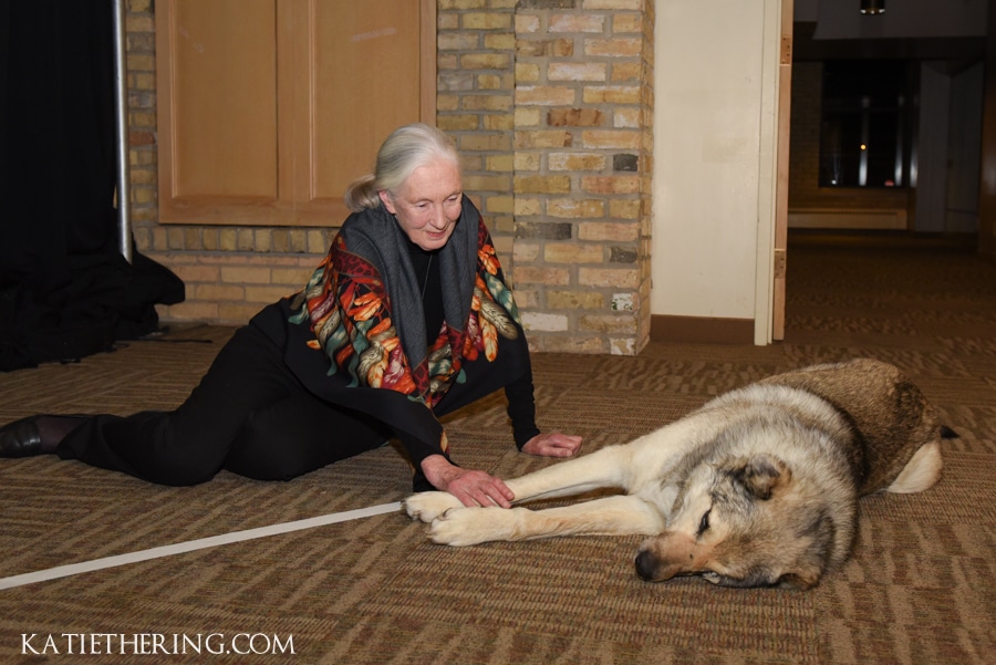 Home for Life Spring Gala featuring Jane Goodall